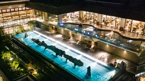 Een dakzwembad met zitplaatsen en uitzicht op het restaurant beneden.