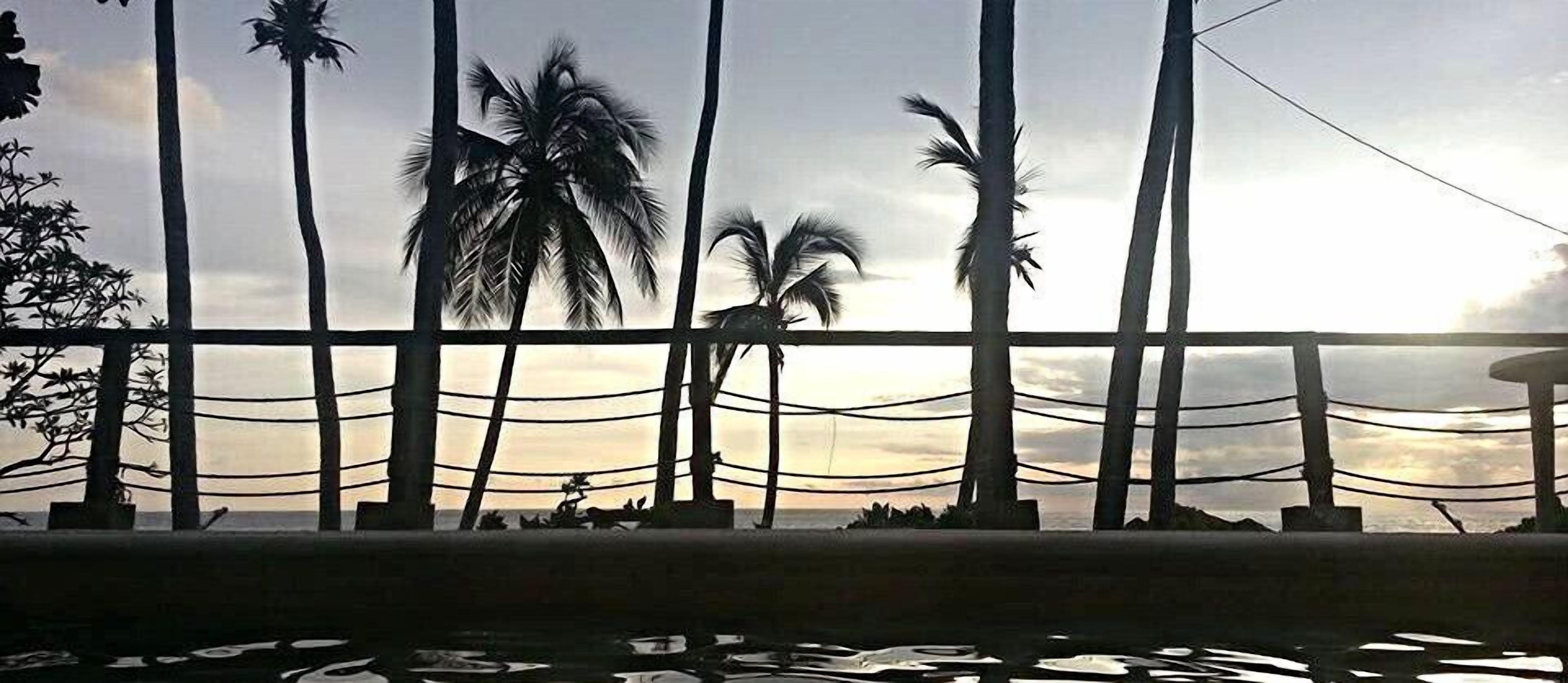 Vista desde la propiedad