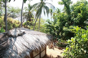 Garden - Cocos Camp (Acapulco)