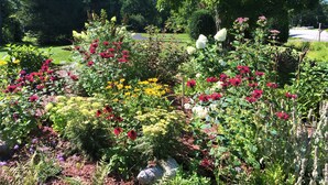 Un jardin agrémenté de diverses plantes à fleurs et d’arbres.