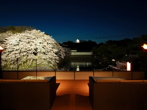 Vista nocturna de un edificio tradicional japonés con un cerezo en primer plano.