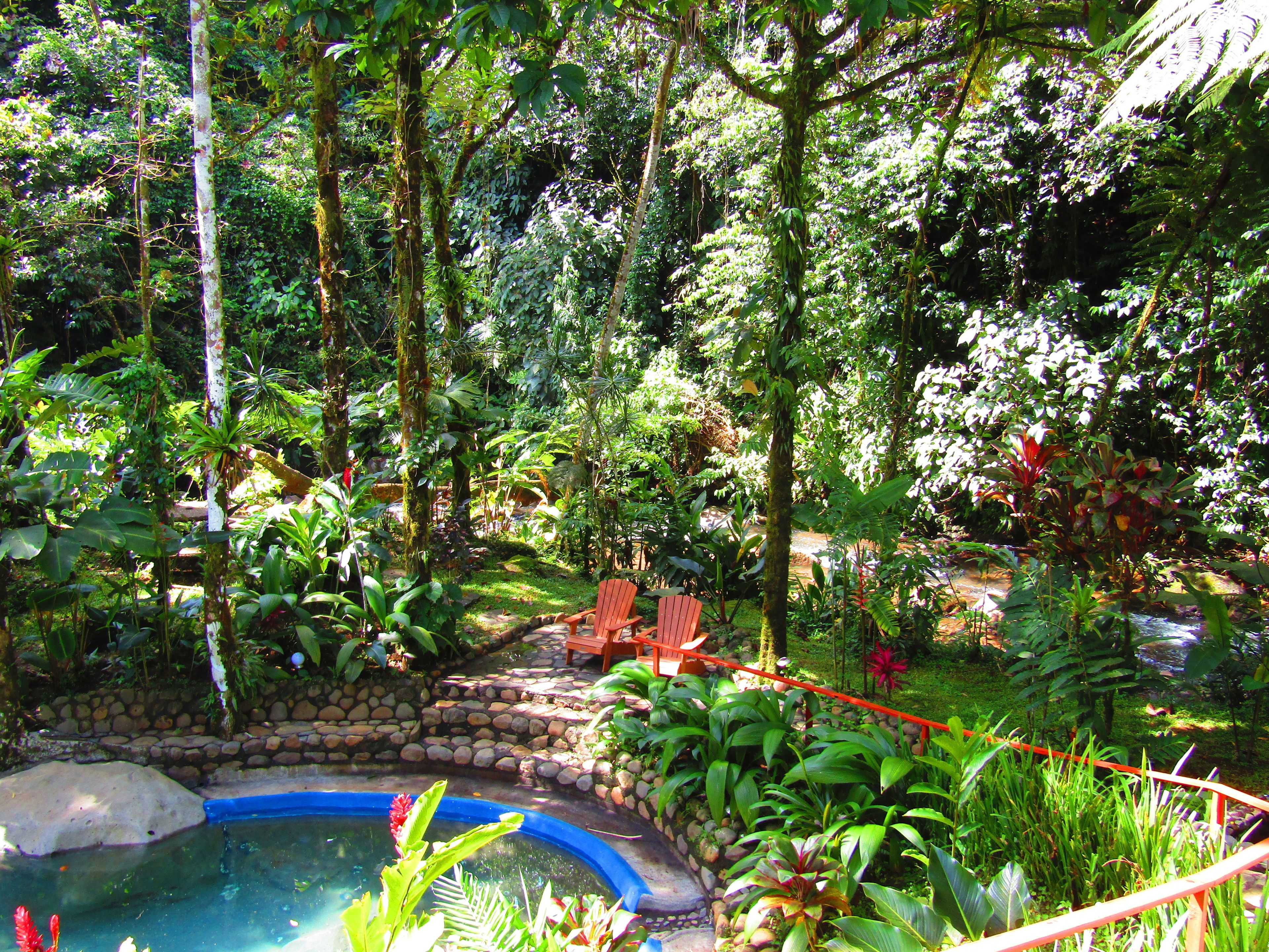 outdoor pool, pool loungers