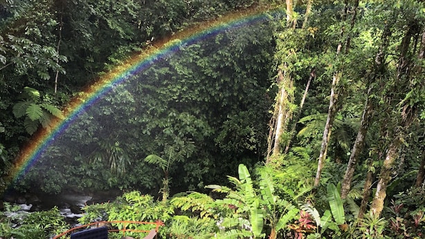 A swimming pool surrounded by lush greenery and a visible rainbow. - Agua Inn (Arenal)