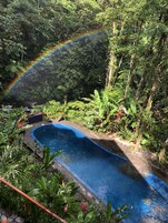 Una piscina rodeada de exuberante vegetación y un arcoíris visible.