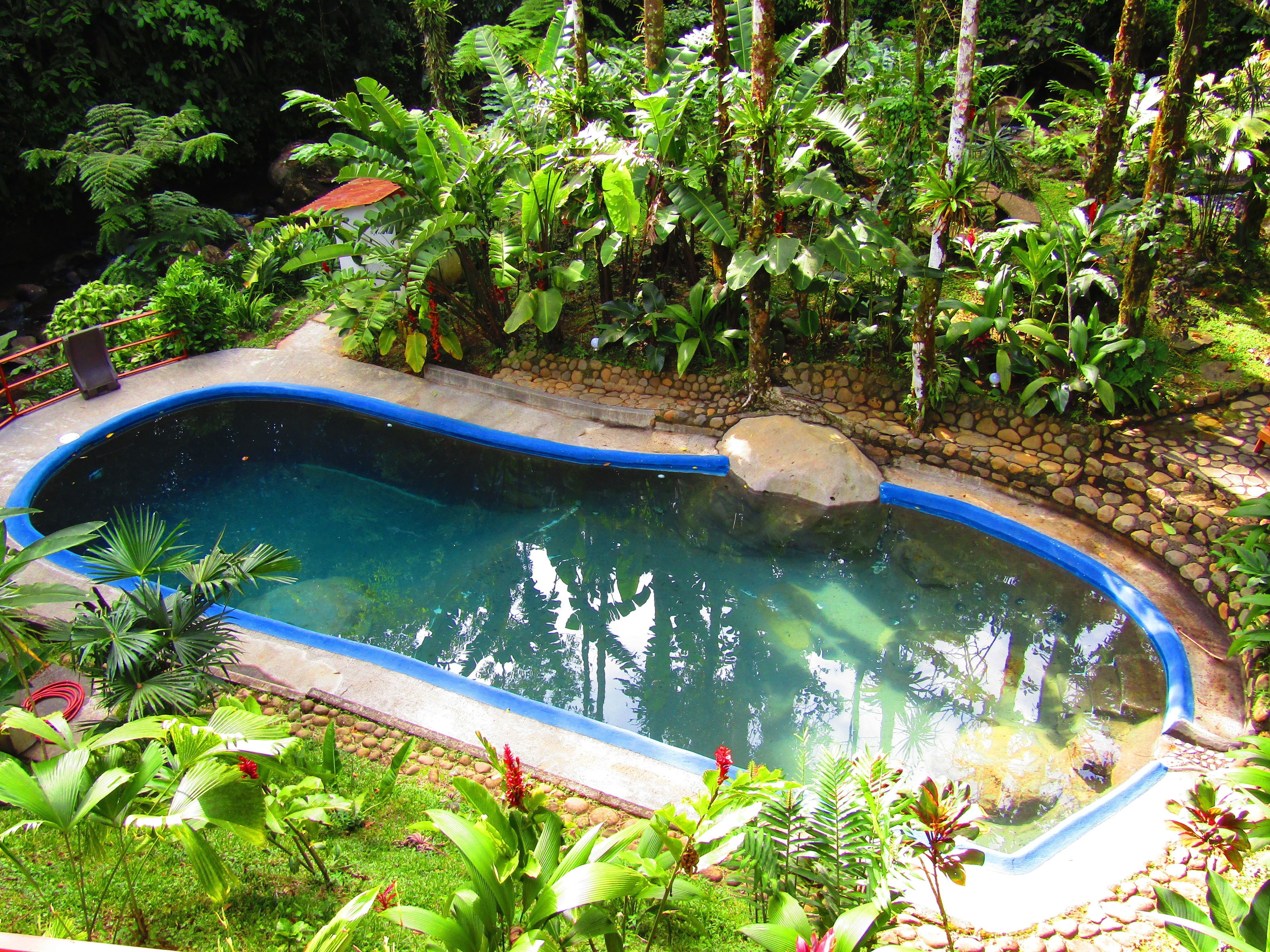 outdoor pool, pool loungers