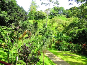 Property grounds - Agua Inn (Arenal)