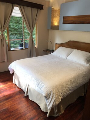 Standard Double Room, 1 Queen Bed | View from room - Agua Inn (Arenal)