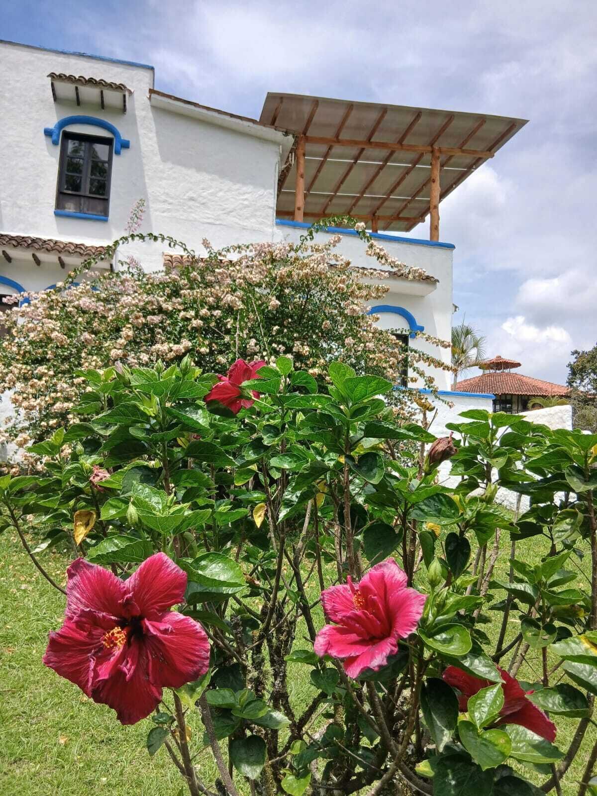 A white building with blue trim and a wooden pergola.