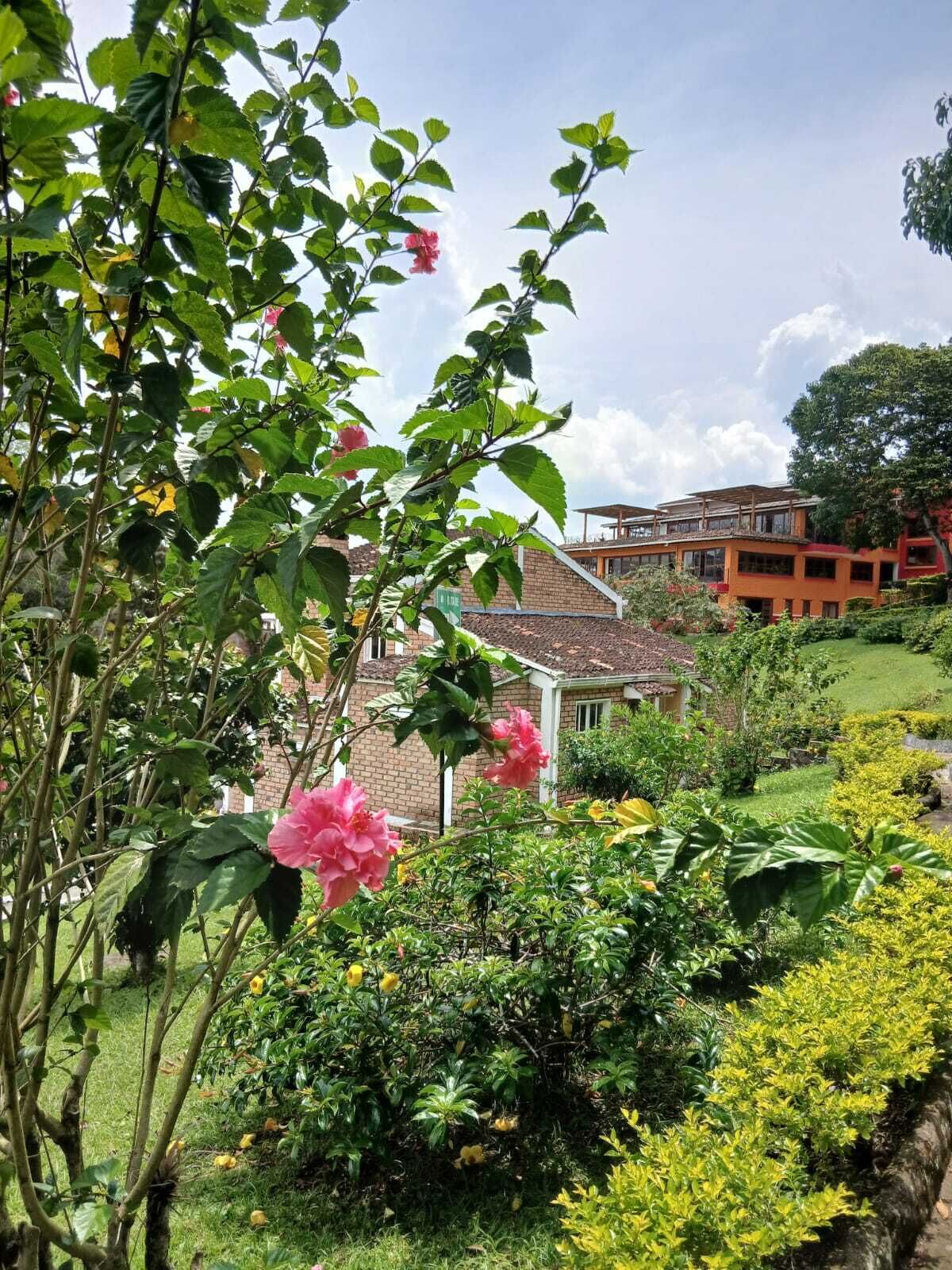 A garden with a variety of plants and flowers, a brick building with a tiled roof, and a large tree in the background.