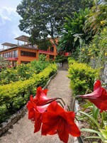 Fachada de la propiedad