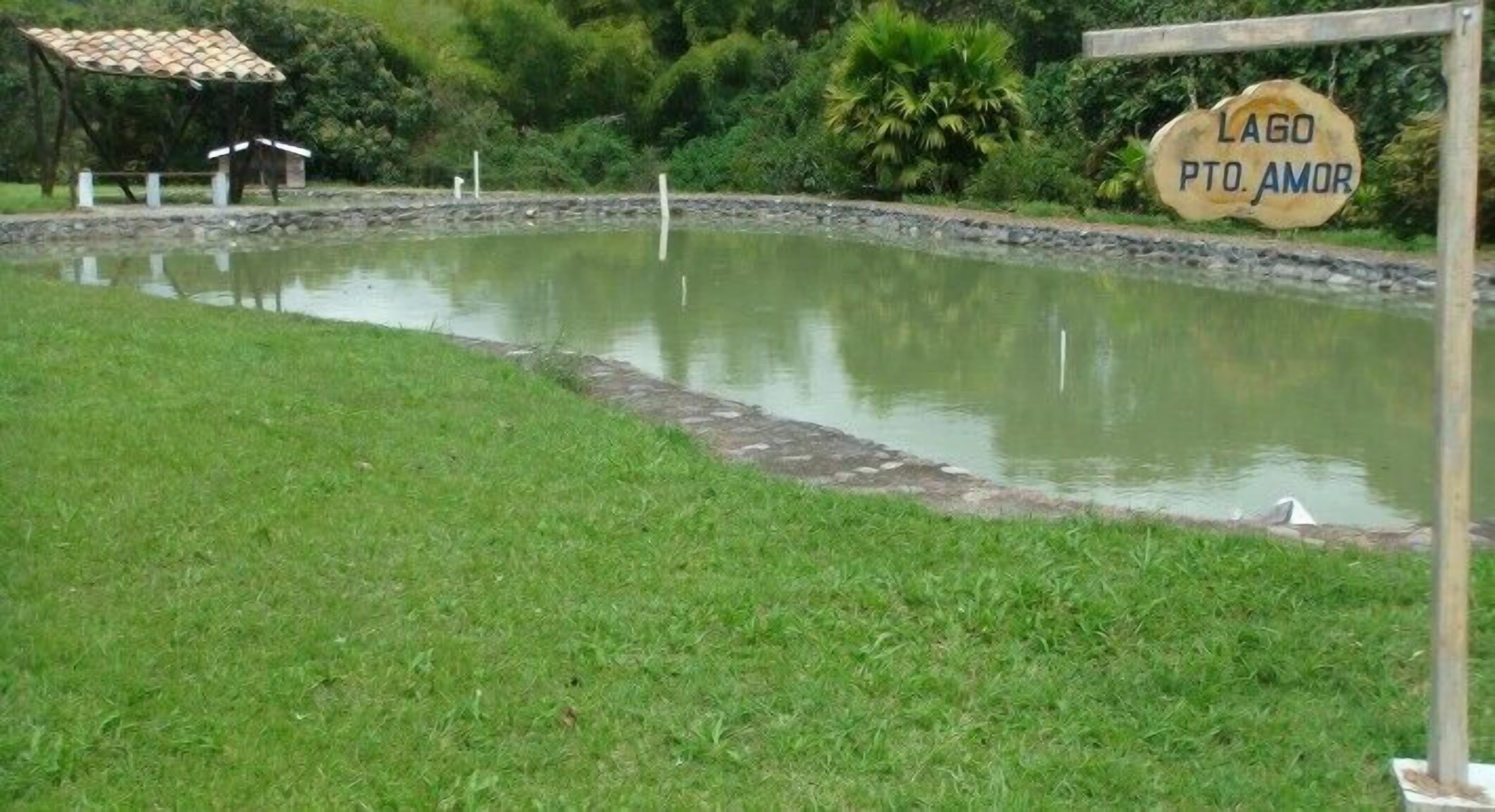 A pond with a sign reading 'LAGO PTO. AMOR' surrounded by greenery.