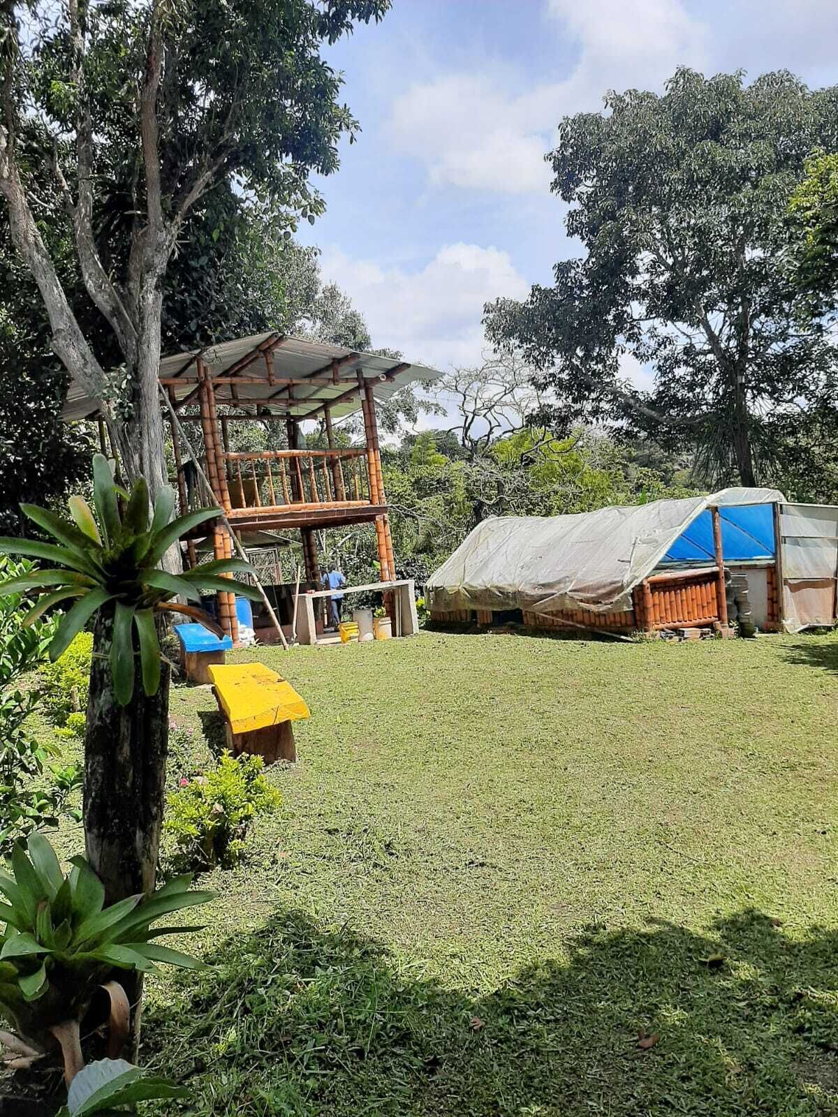 Un espacio exterior rústico con un parque infantil de madera, una zona de estar cubierta y un gran árbol.