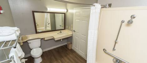 Une salle de bain avec des toilettes, un lavabo et une douche.