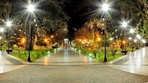 A nighttime pathway in a park with evenly spaced street lamps and trees. - Adamo Apart (San Rafael)