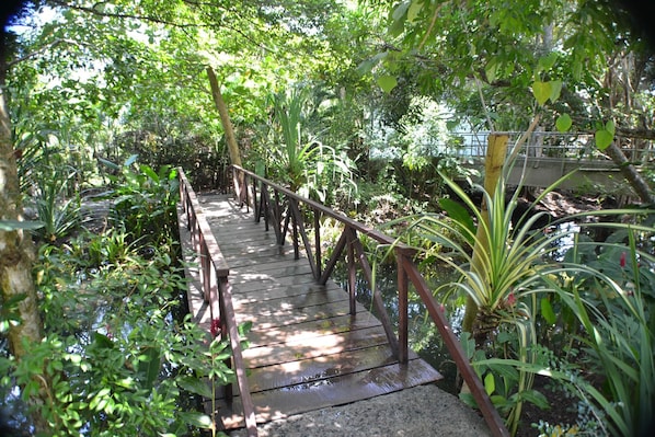 A wooden bridge in a lush garden with dense foliage and a water body.