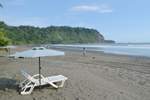 A beach with white lounge chairs and umbrellas, a dog, and a person walking.