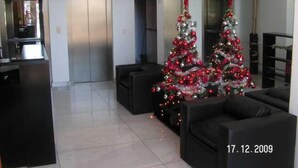 Un salon moderne avec deux sapins de Noël, une cuisine et un coin repas.