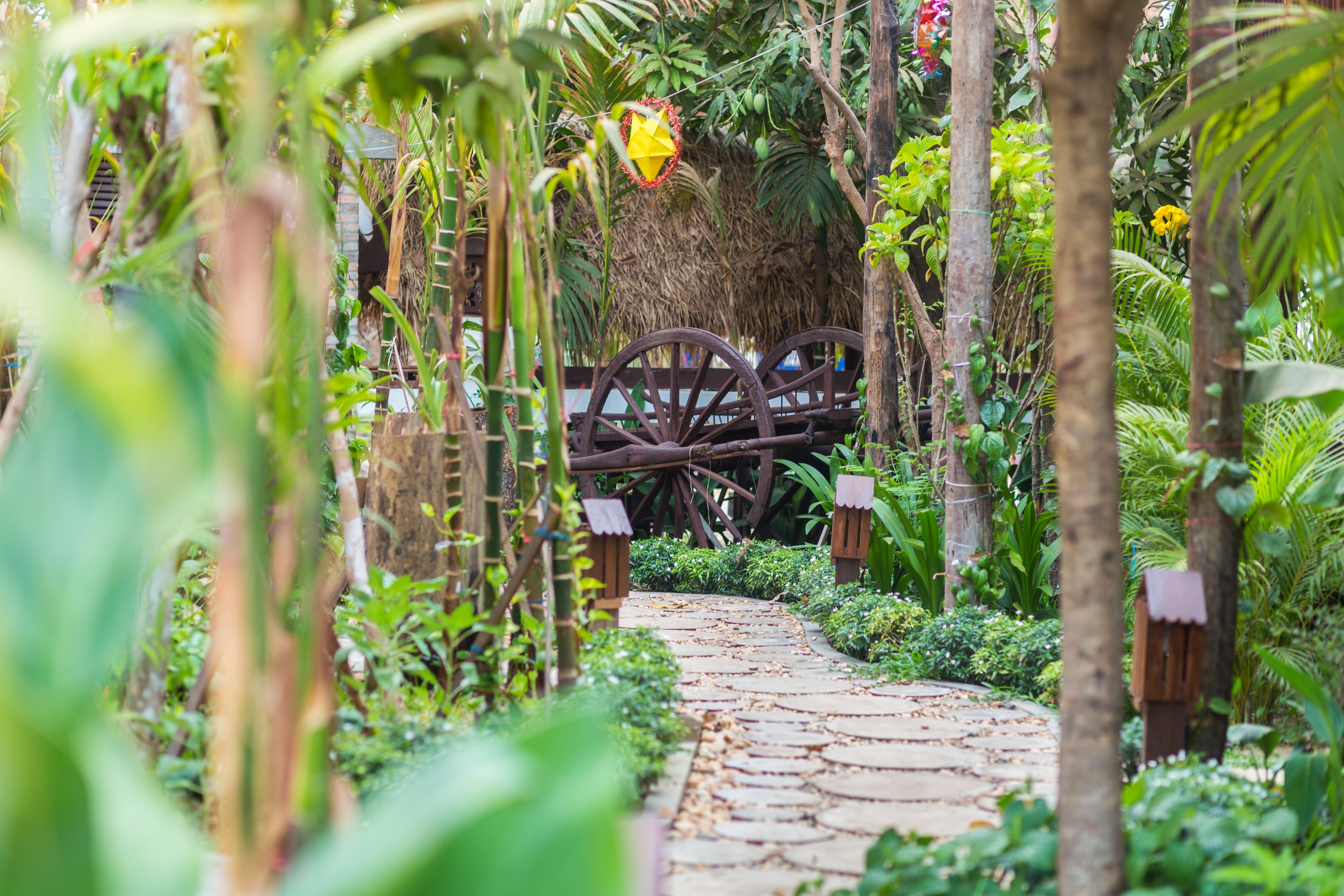 deluxe suite poolside | garden