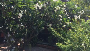 Un jardín con árboles en flor y un edificio al fondo.