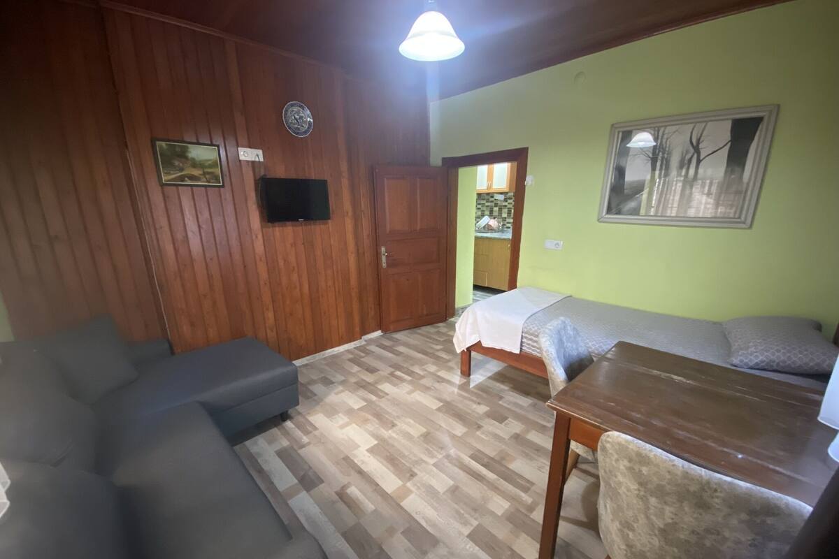 Una habitación con techo de madera, un sofá, una cama, una mesa y un televisor.