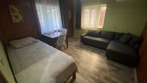 Une pièce comprenant un lit, un canapé, une table à manger avec des chaises et une fenêtre avec des rideaux.