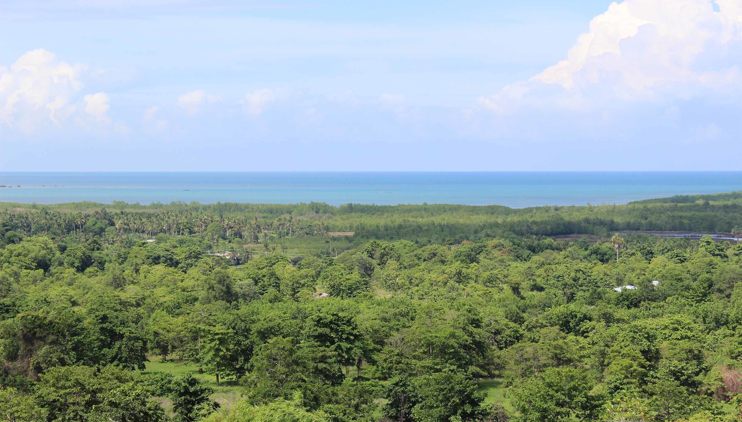 Photo - Panja Resort Palawan