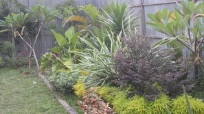 A garden with various plants and a wooden fence in the background. - Amelia Guest House (Medan)
