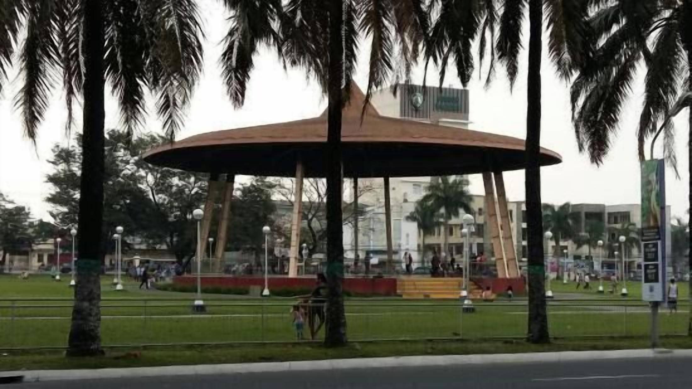 A pavilion with a curved roof surrounded by palm trees and a grassy area.
