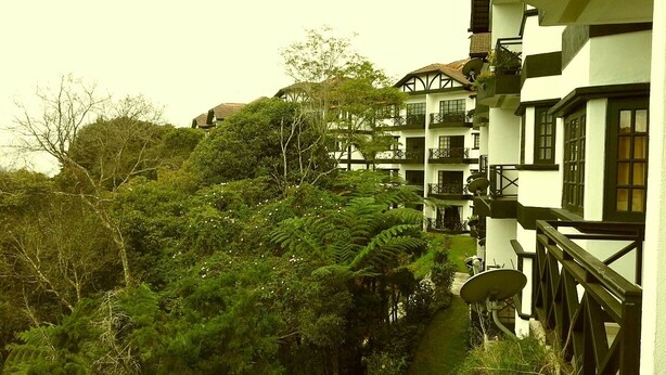 Un edificio de varios pisos con balcones, rodeado de abundante vegetación y árboles.