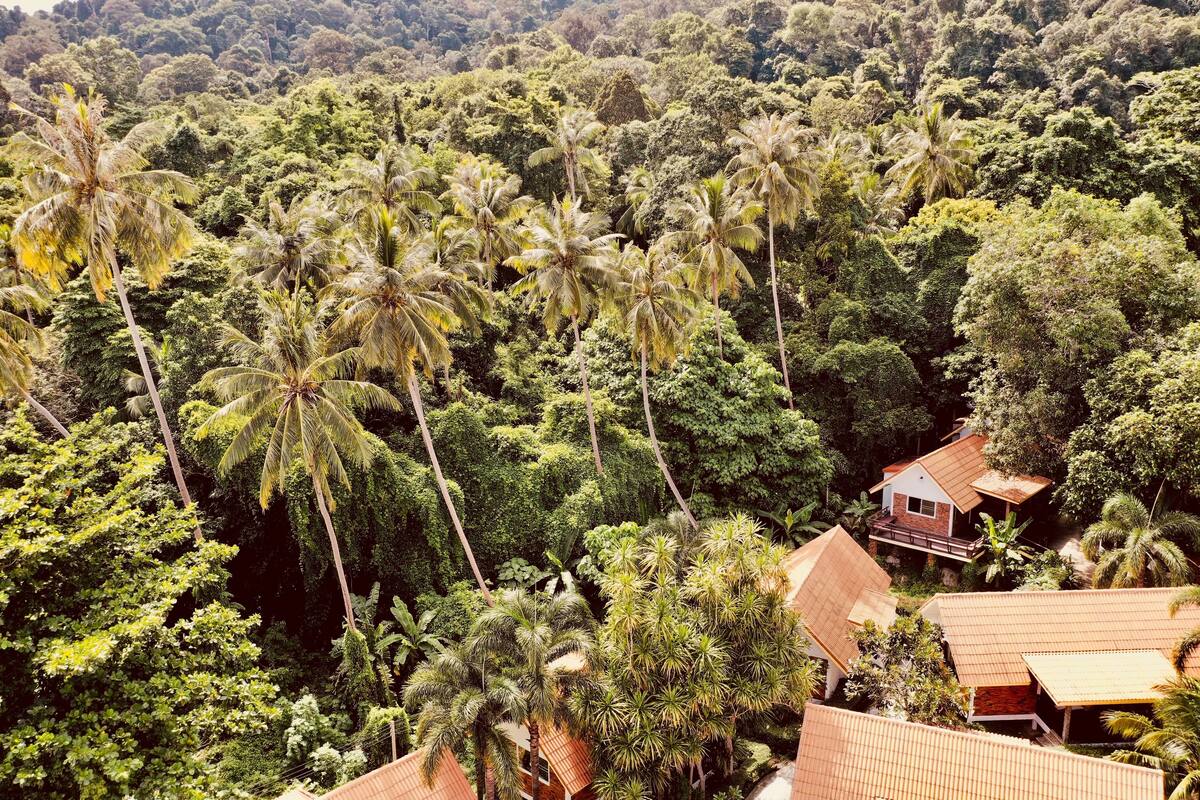 Deluxe Garden Bungalow | Premium bedding, in-room safe, blackout drapes, soundproofing