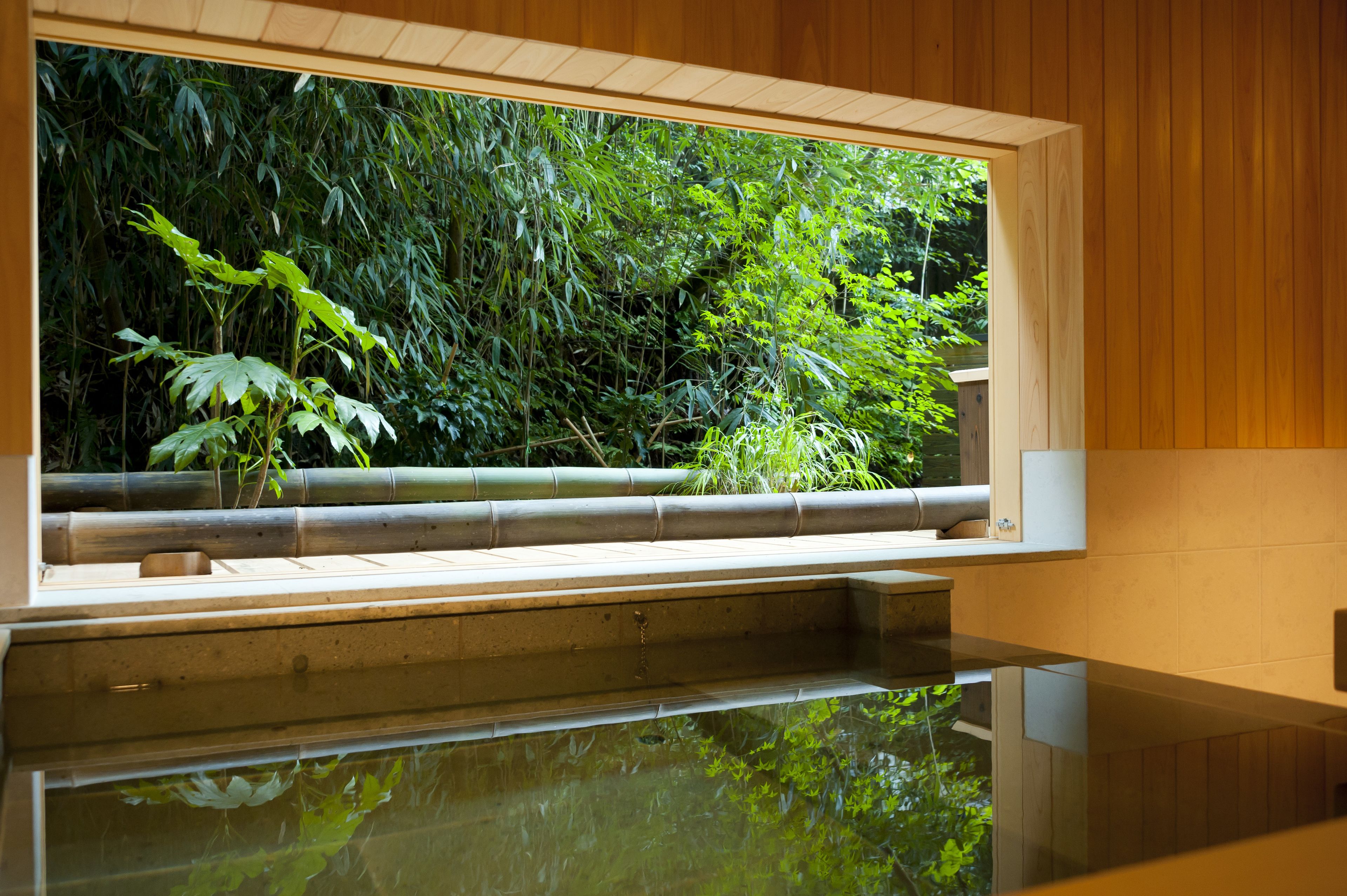 Sauna, hot springs/mineral springs, body treatments, aromatherapy