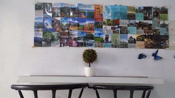 A wall with a collage of photos and a small potted plant. - Amelia 2 Guest House (Medan)