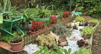B&B Maremma Nel Tufo