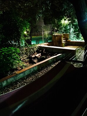 A dimly lit outdoor area with a concrete pathway, surrounded by dense foliage and a wire fence.