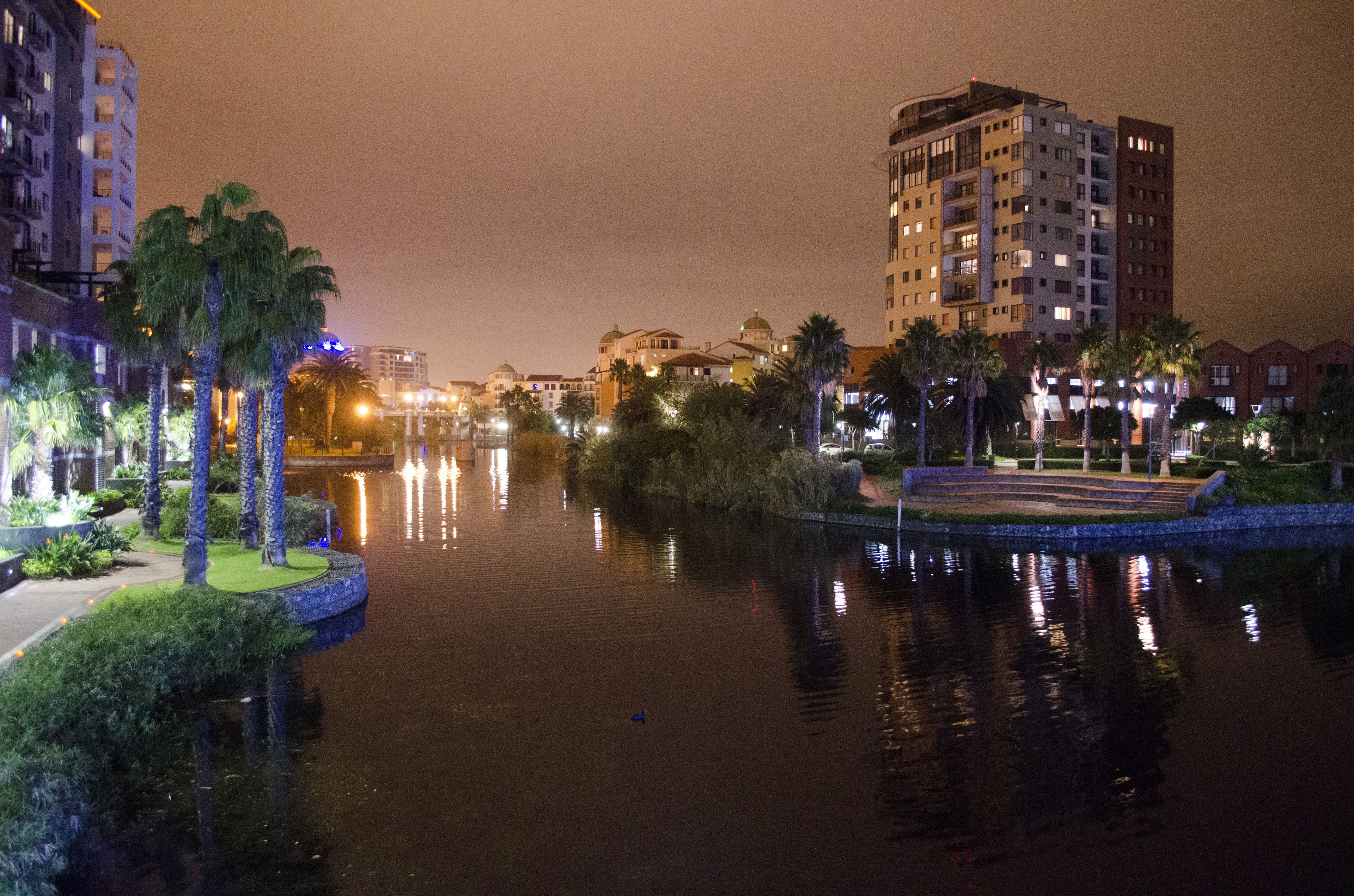 Een nachtzicht van een rivierengebied met gebouwen, palmbomen en een goed verlichte promenade langs het water.