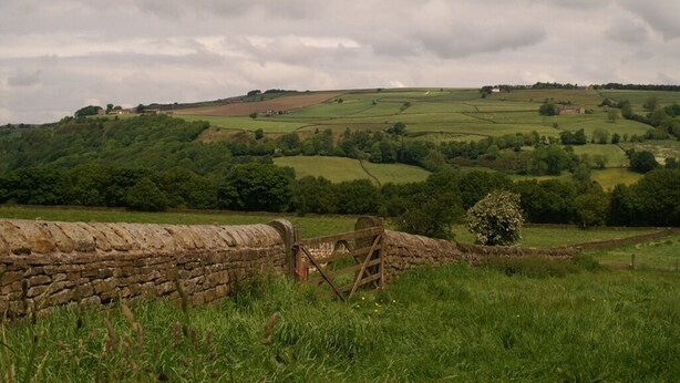 Paisaje rural con colinas onduladas, un muro de piedra y un portón de madera.