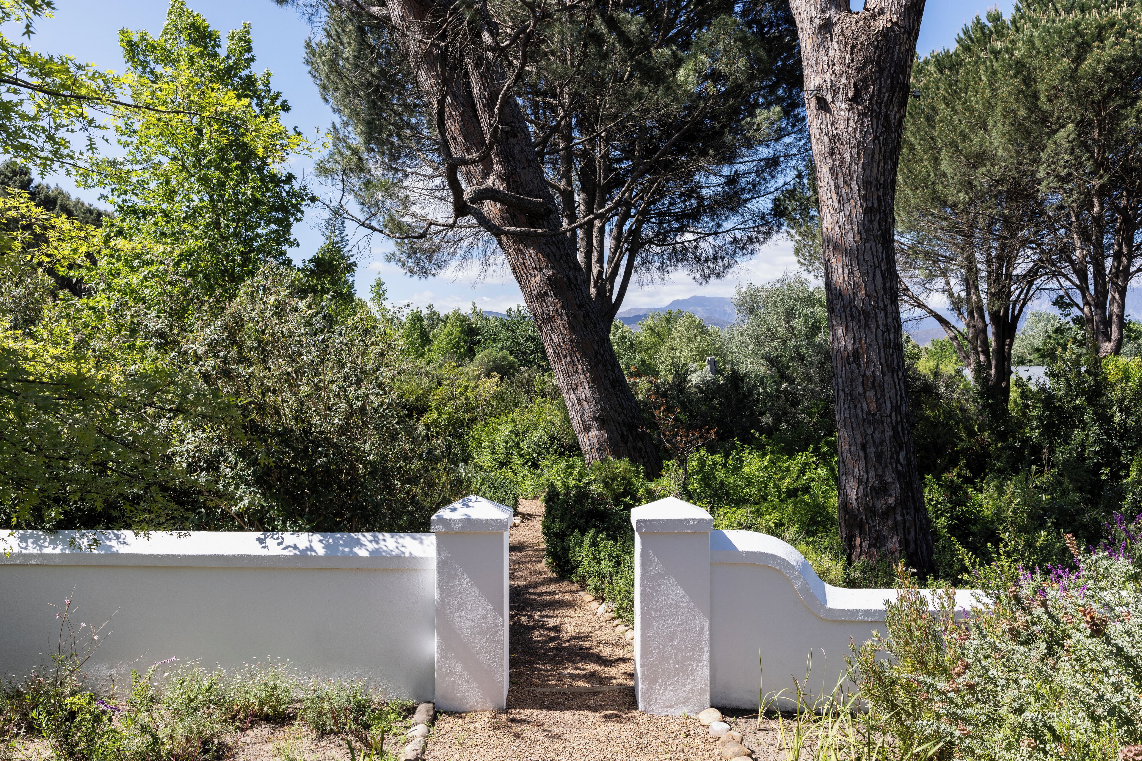 A pathway leading through a natural landscape with trees and shrubs, flanked by white walls.