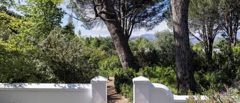 A pathway leading through a natural landscape with trees and shrubs, flanked by white walls.