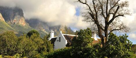 A white building with a sloped roof, surrounded by lush greenery and a large tree.