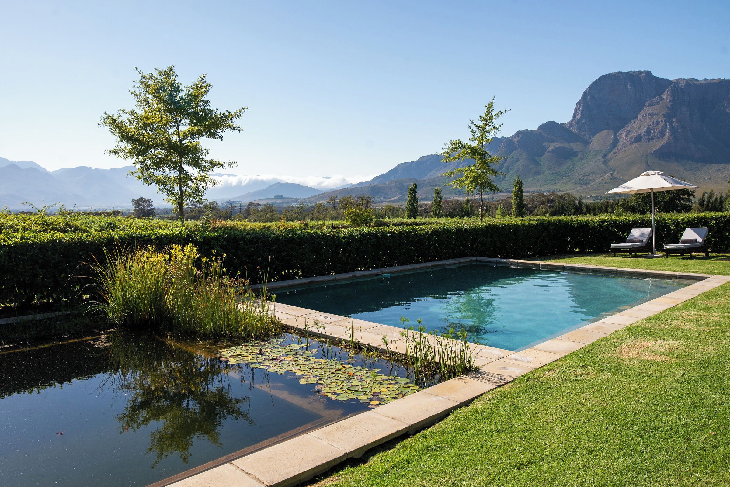 Outdoor pool, pool loungers