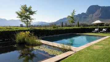 Outdoor pool, pool loungers