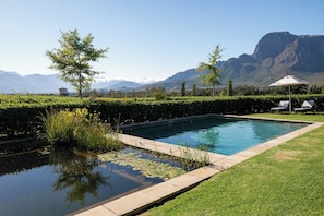 Outdoor pool, sun loungers - Boschendal Farm Estate (Franschhoek)