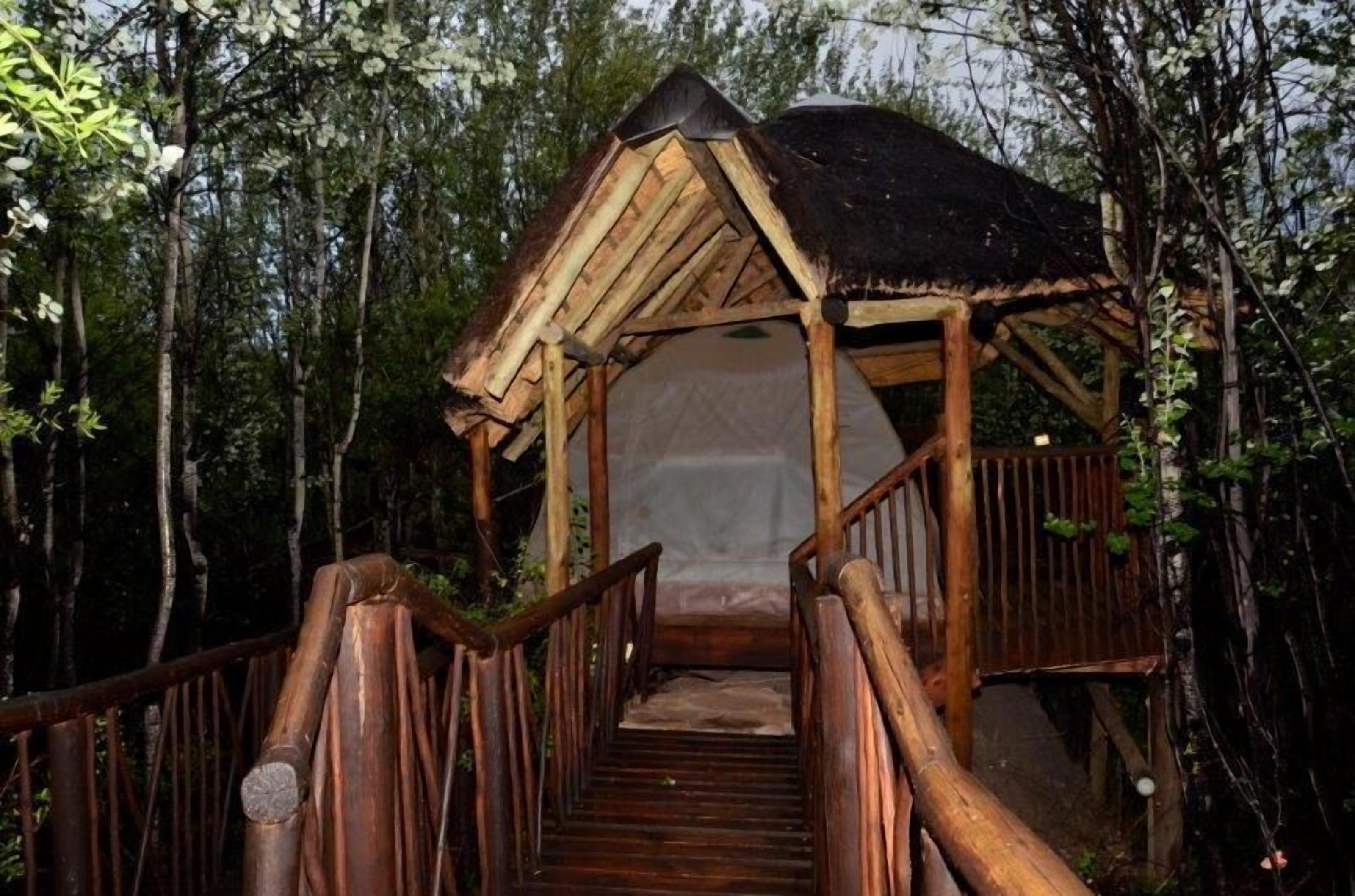 A wooden cabin with a thatched roof, surrounded by dense forest.
