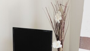 Television - St. Mamas Hotel Apartments (Larnaca)