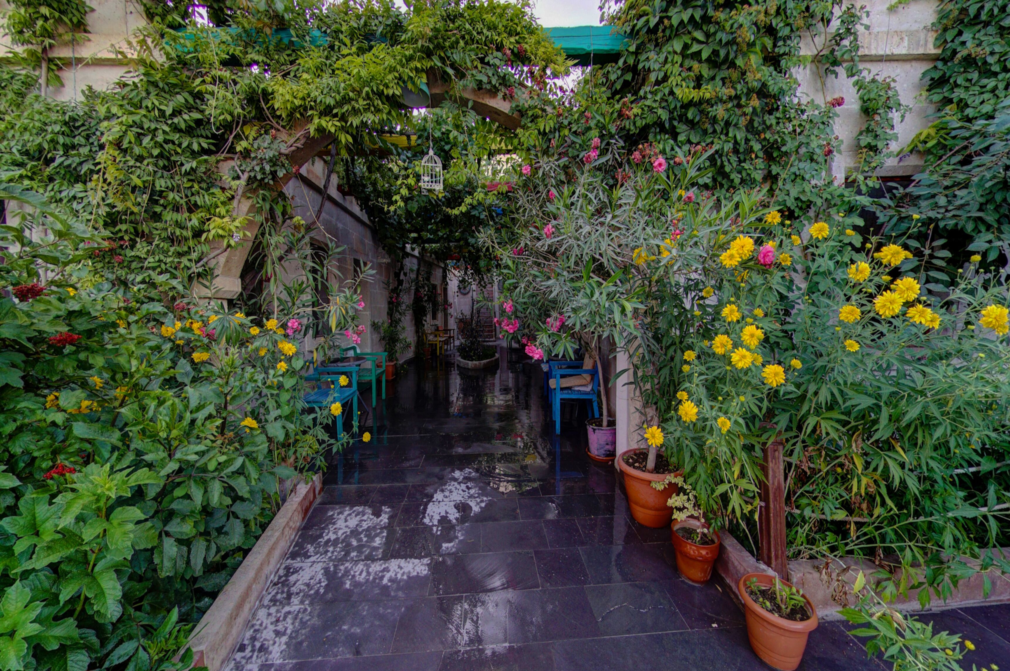 Photo - Roc Of Cappadocia