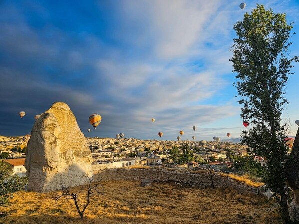 A landscape with a prominent rock formation and a tree, with hot air balloons in the distance. - Roc Of Cappadocia (Nevsehir)
