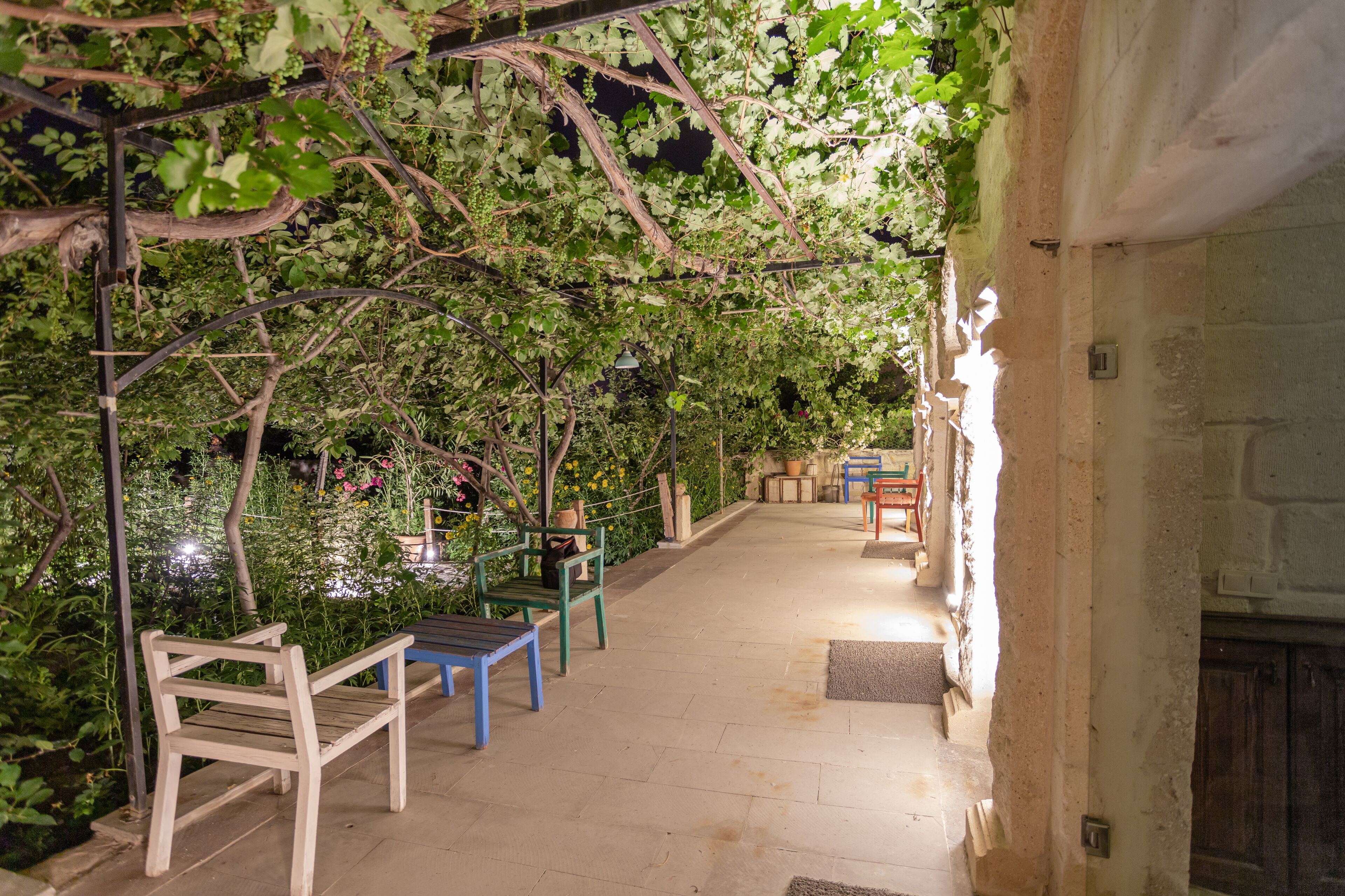 An indoor garden with a pathway, benches, and potted plants.