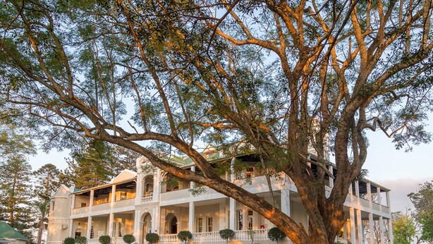 A large, multi-story building with a prominent tree in front. - Kearsney Manor Guesthouse (KwaDukuza)