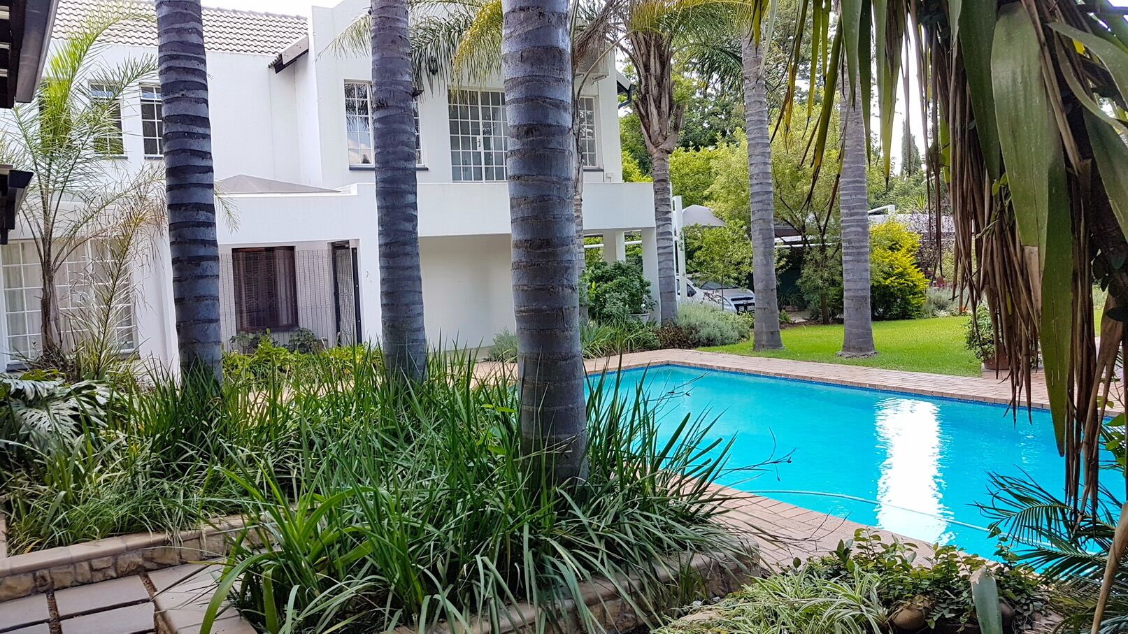 Piscina rodeada de palmeras y abundante vegetación, con un edificio blanco al fondo.