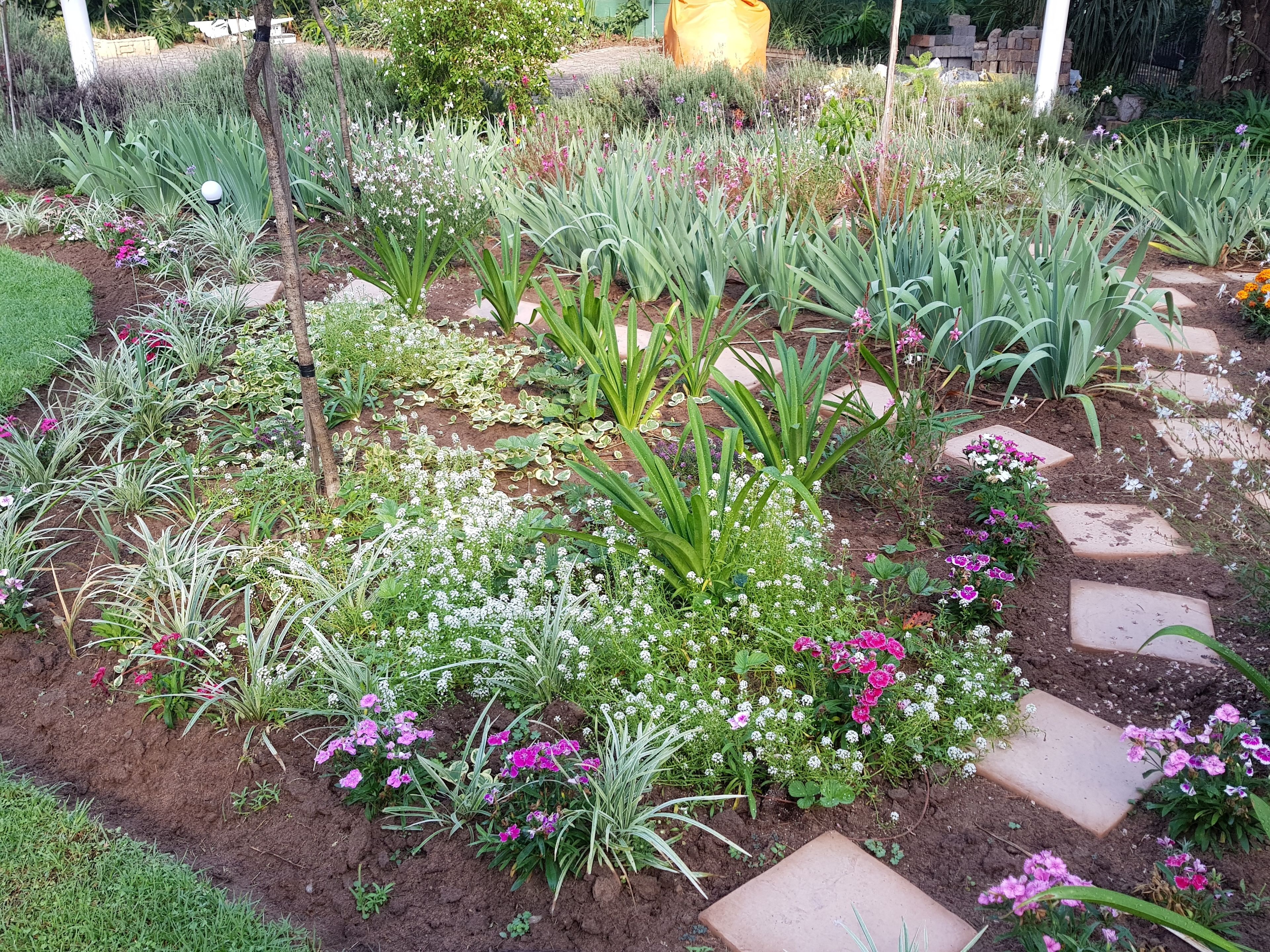 Un jardín con diversas plantas y flores, un sendero de piedra y un pilar blanco.